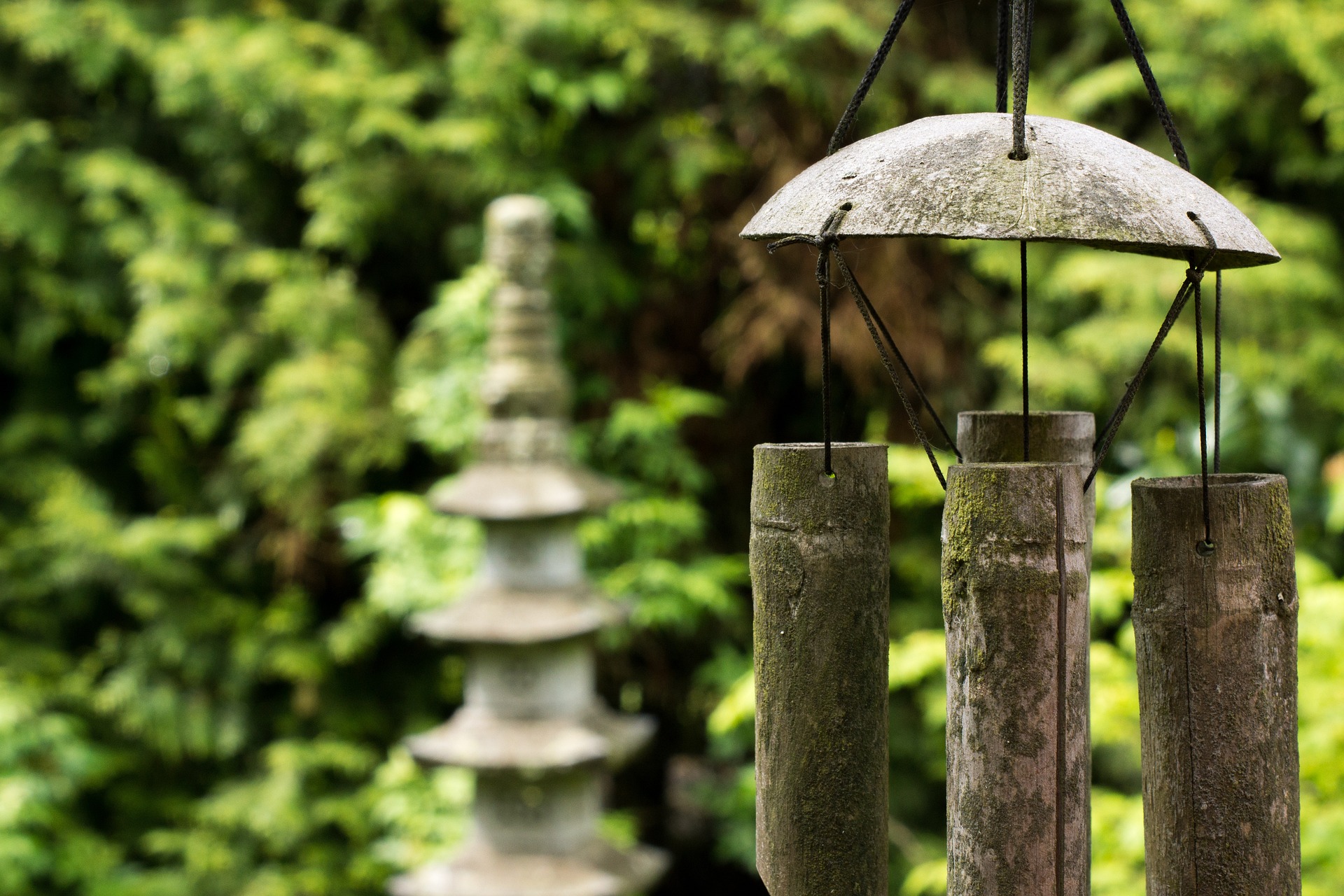 zadbaj o feng shui w domu