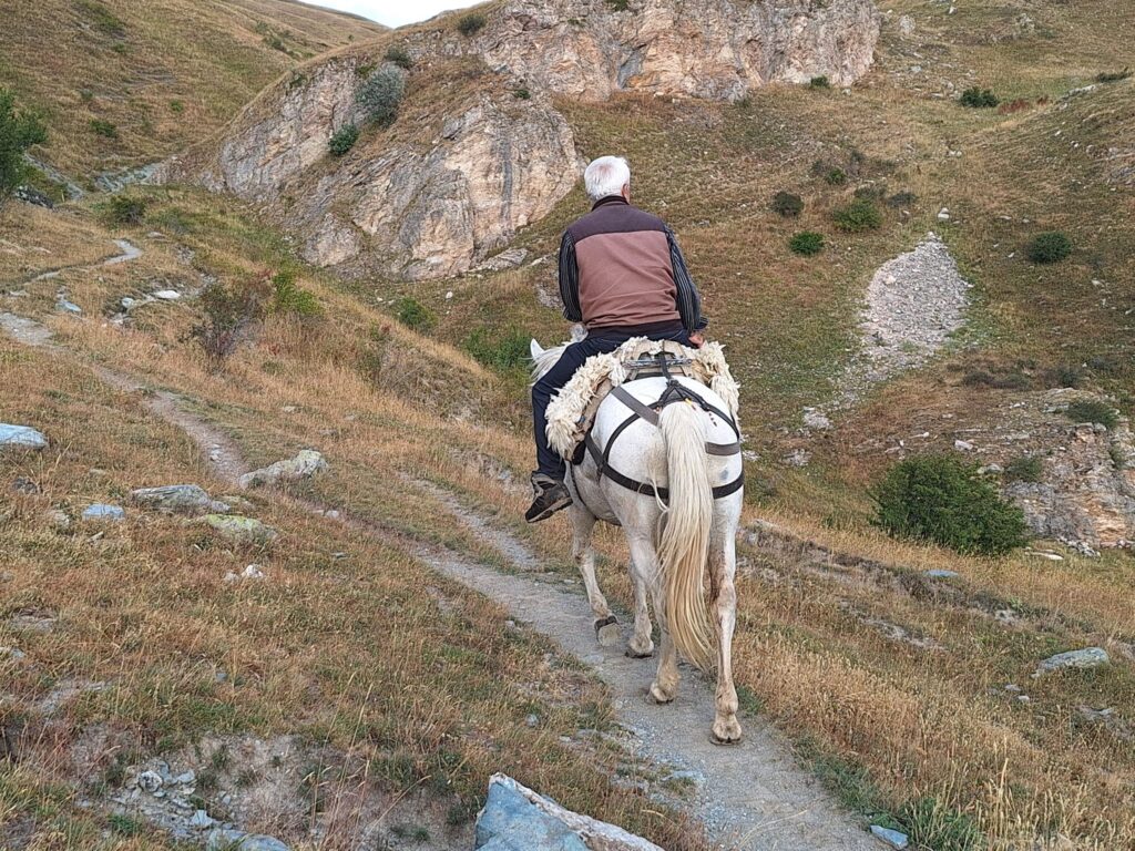 Mężczyzna jadący na ośle w górach w okolicach albańskiej wioski Radomire, na tle zielonych stoków masywu Korabu.