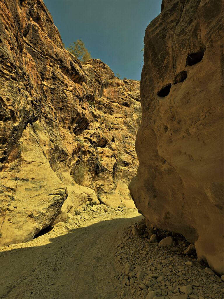 Zdjęcie przedstawiające wydarzenie z dnia 24 lutego 2026 roku