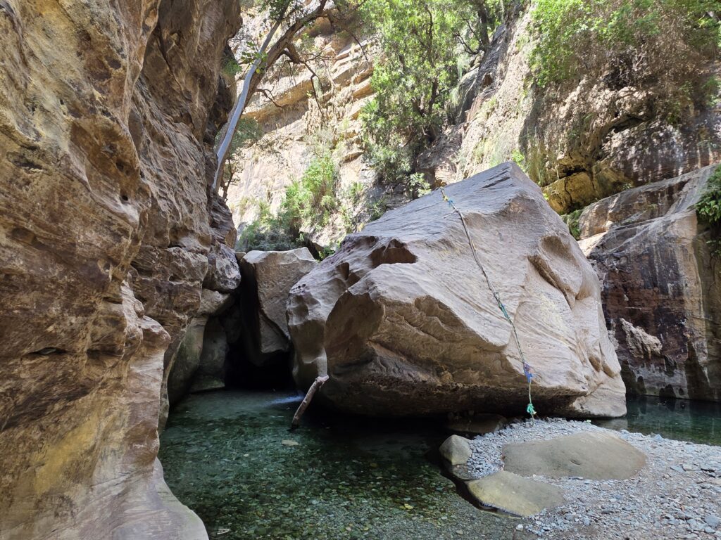 Zdjęcie z dnia 24 lutego 2026 roku, godzina 12:29.