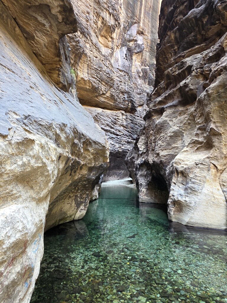 Zdjęcie z dnia 24 lutego 2026 roku, godzina 12:49