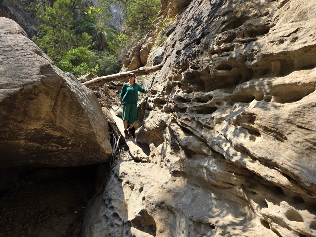 Widok malowniczej scenerii z dnia 24 lutego 2026 roku